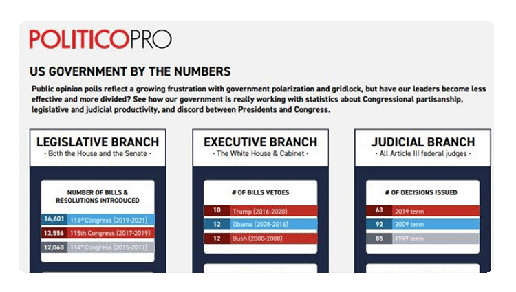 Government Demographics